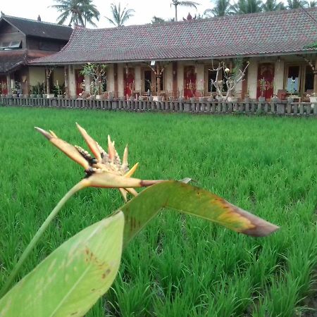 Hotel Rice Padi Artha Ubud Exterior foto