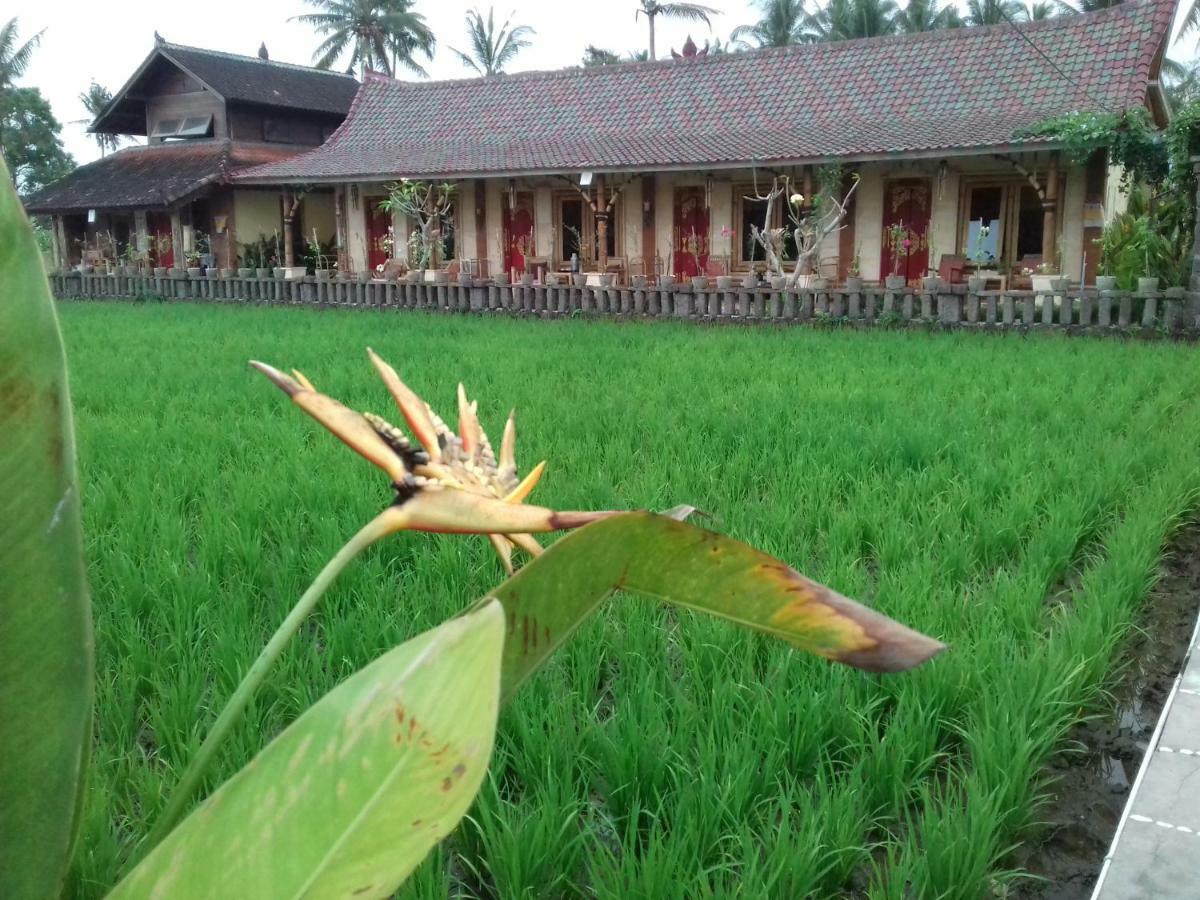 Hotel Rice Padi Artha Ubud Exterior foto